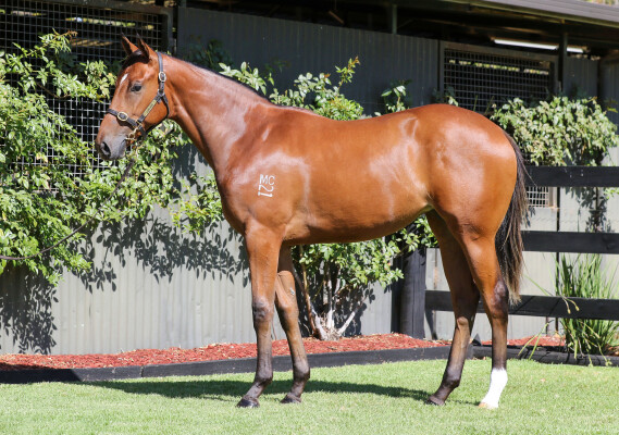 Lot 593: Tagaloa / Bridal Falls