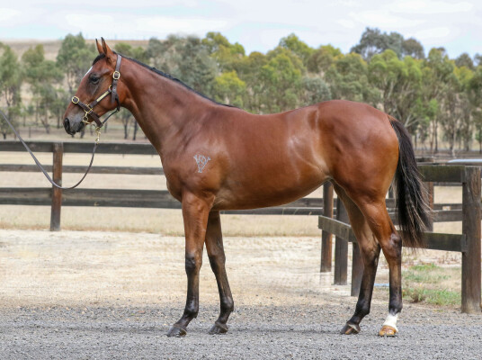 Lot 622: Trapeze Artist / Decoco