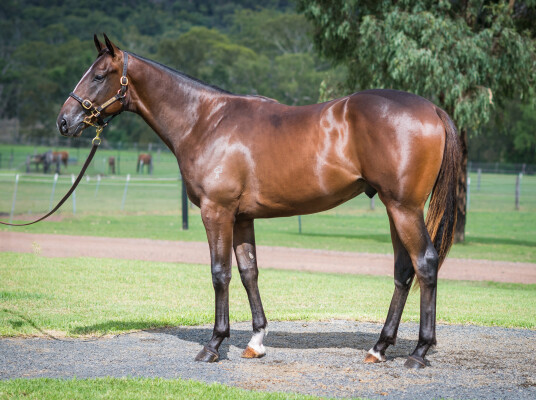 Lot 562: Shamus Award / With a Bit of Dash