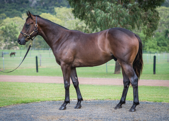 Lot 787: Written By / Twice as Sweet