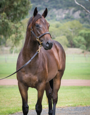 Lot 787: Written By / Twice as Sweet