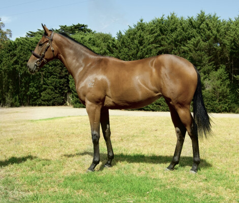 Lot 23: Tagaloa / All Highs on Me