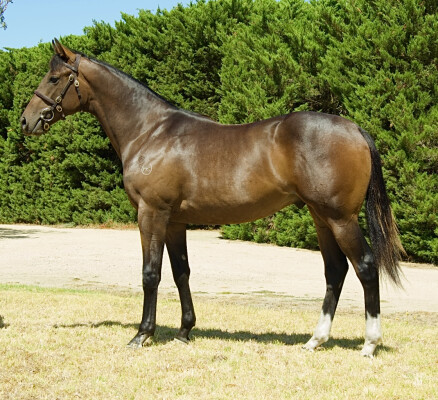 Lot 36: Ghaiyyath (IRE) / Antarctic Missile
