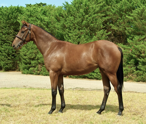 Lot 178: Farnan / French Boss