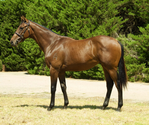 Lot 712: Lonhro / Out of Touch