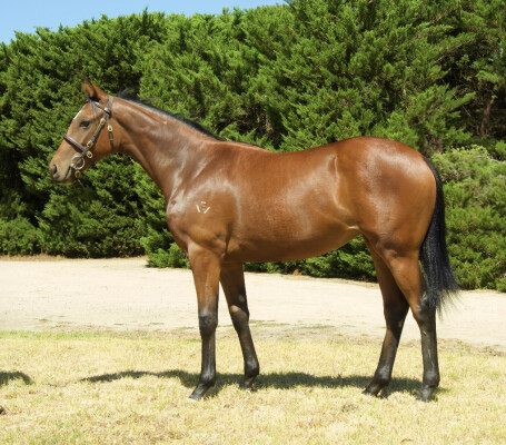 Lot 763: Prague / Sorel Point