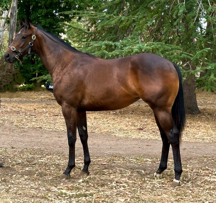 Lot 580: Written By / Areti