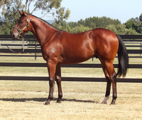 Lot 151: Exceed and Excel / East Asia (NZ)