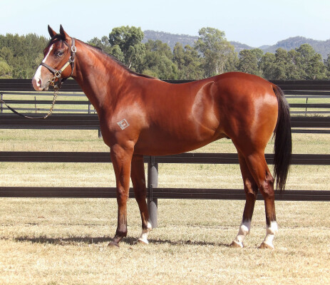 Lot 312: Bivouac / Mella Maria