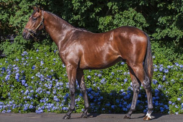Lot 591: Rebel Dane / Blue Note