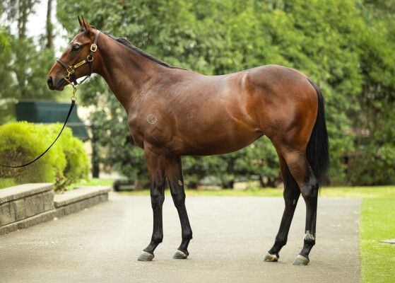 Lot 639: Shamus Award / Exsqueeze Me