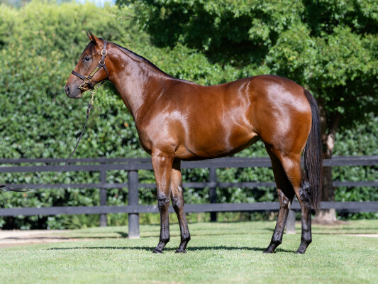 Lot 139: Farnan / Devious Maid