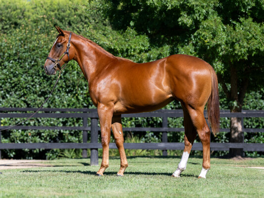 Lot 349: Home Affairs / Neighbourhood