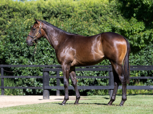 Lot 631: Hanseatic / Electron