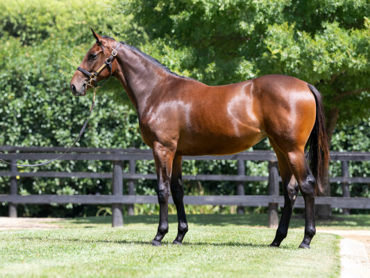 Lot 723: Doubtland / Protest