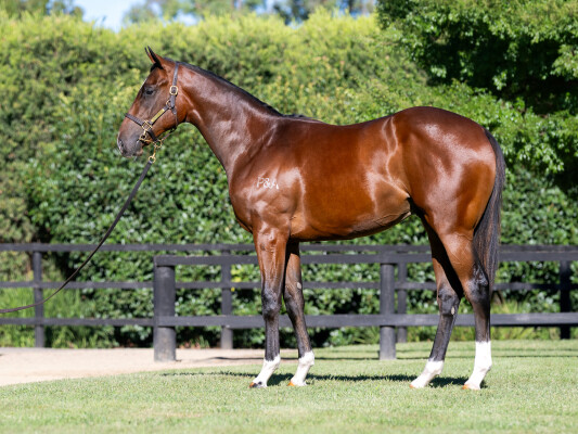 Lot 765: Gold Standard / State of Play