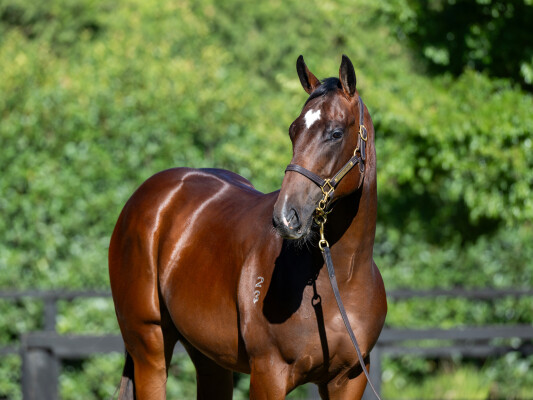 Lot 765: Gold Standard / State of Play