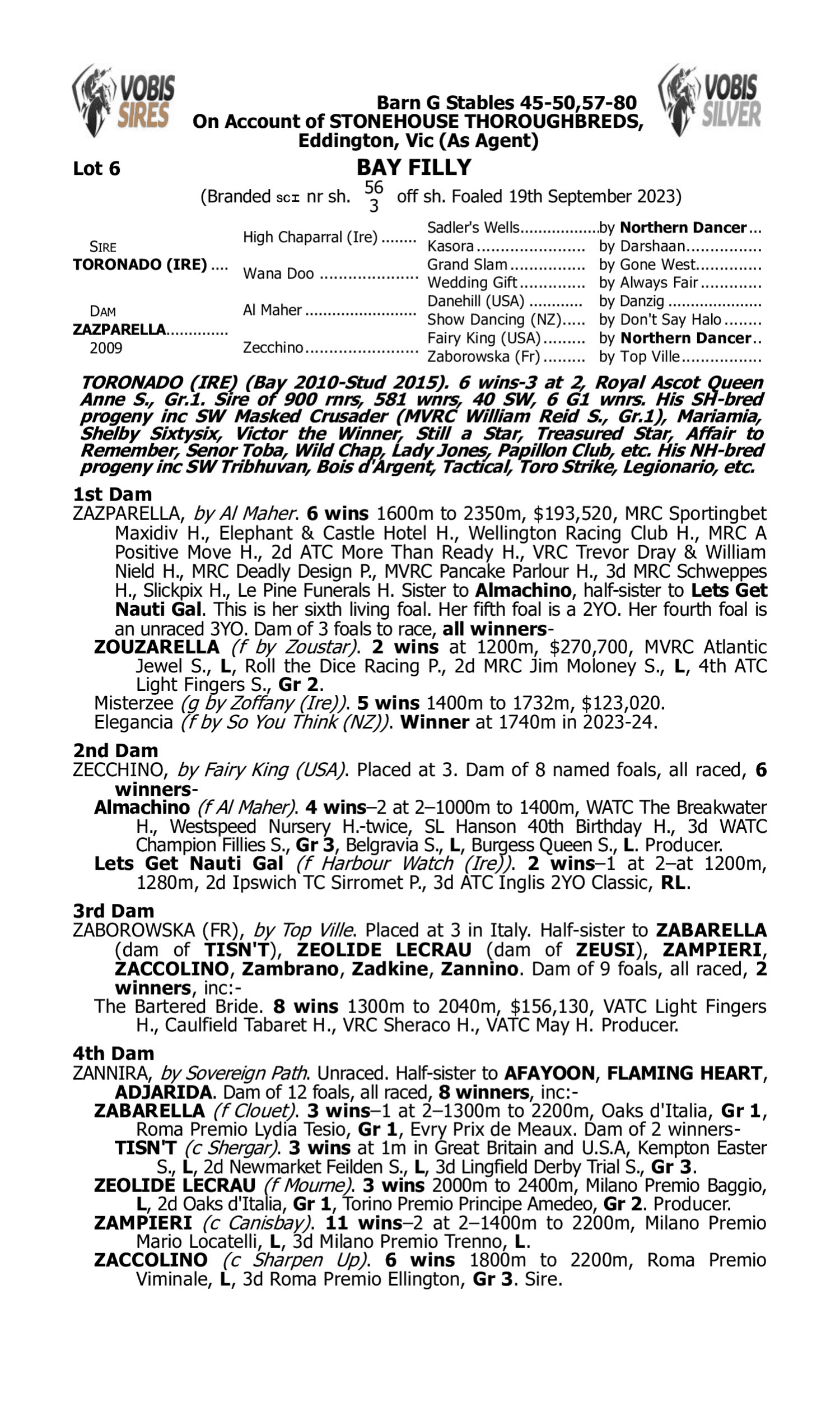 Pedigree for Lot 6 Toronado (IRE) - Zazparella