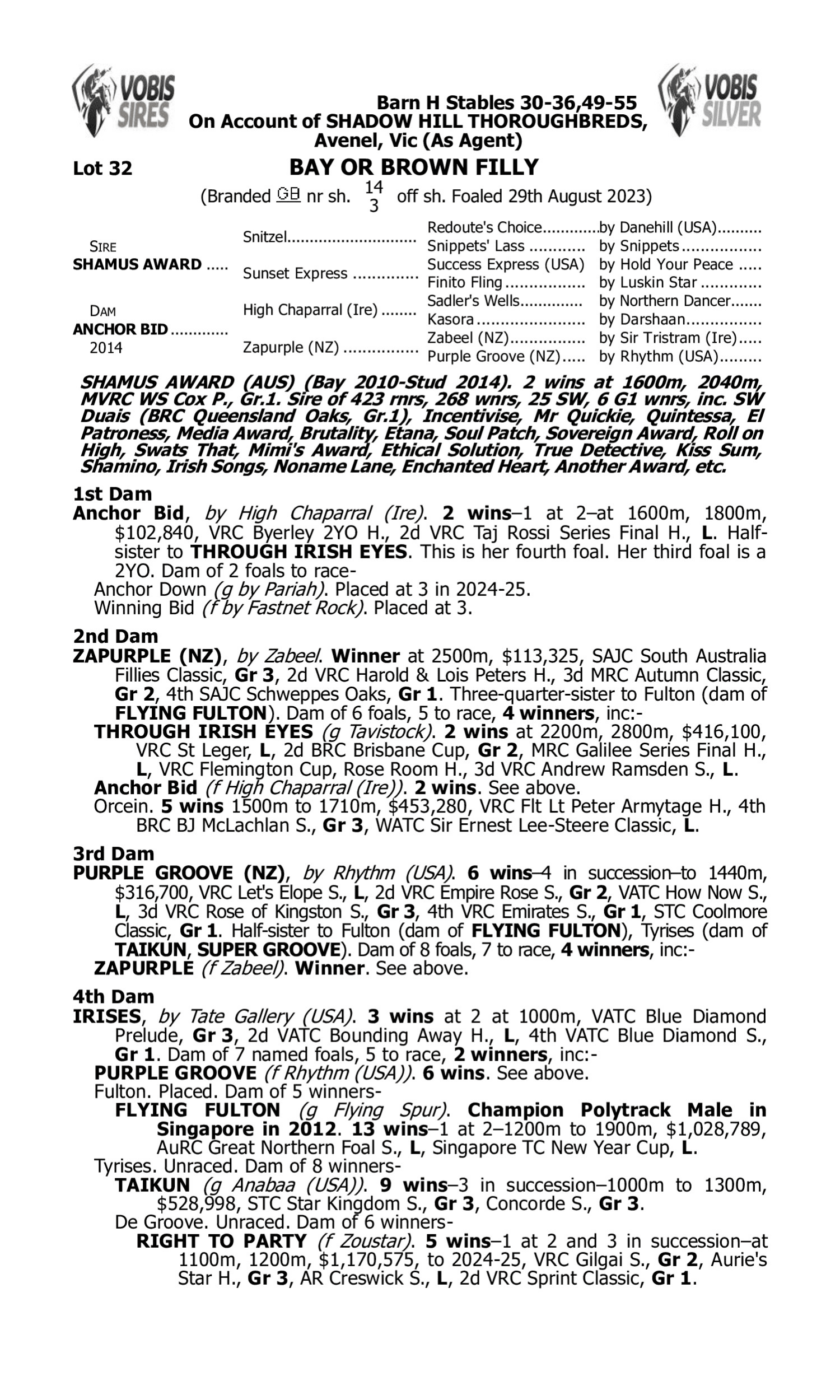 Pedigree for Lot 32 Shamus Award - Anchor Bid