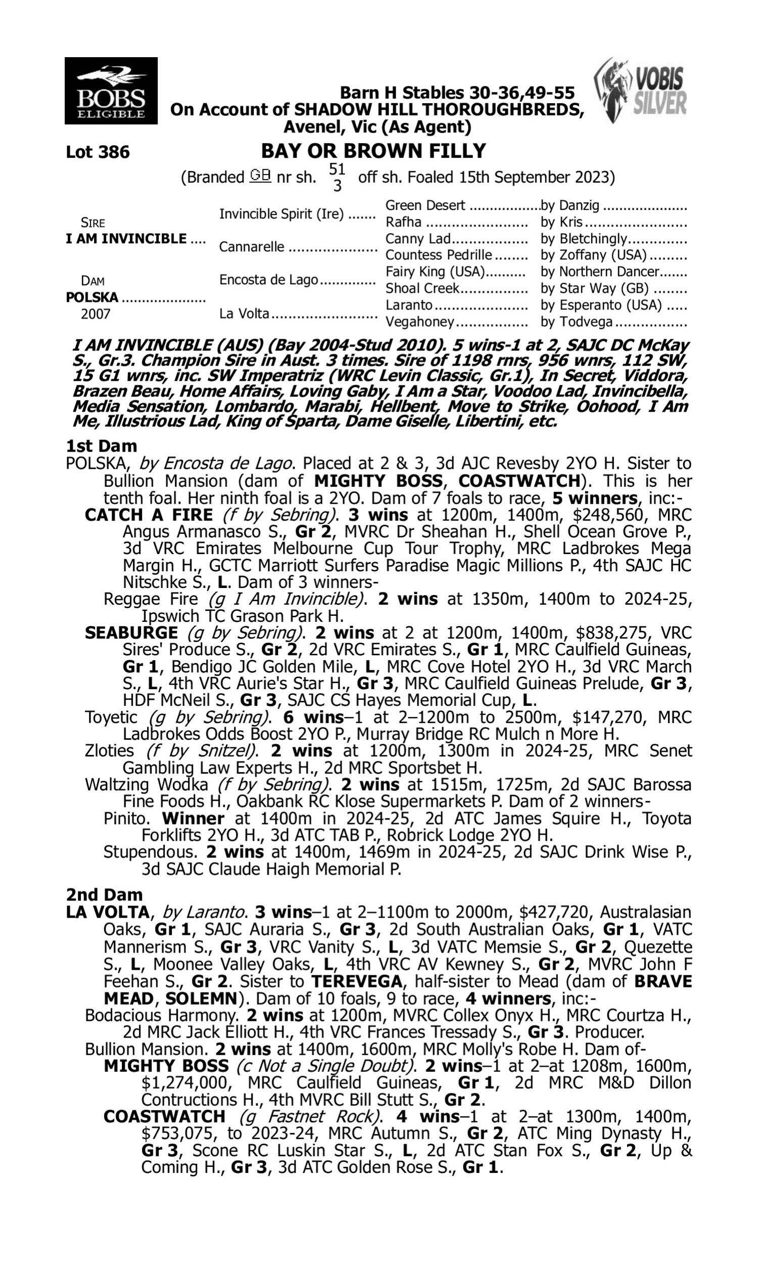 Pedigree for Lot 386 I Am Invincible - Polska