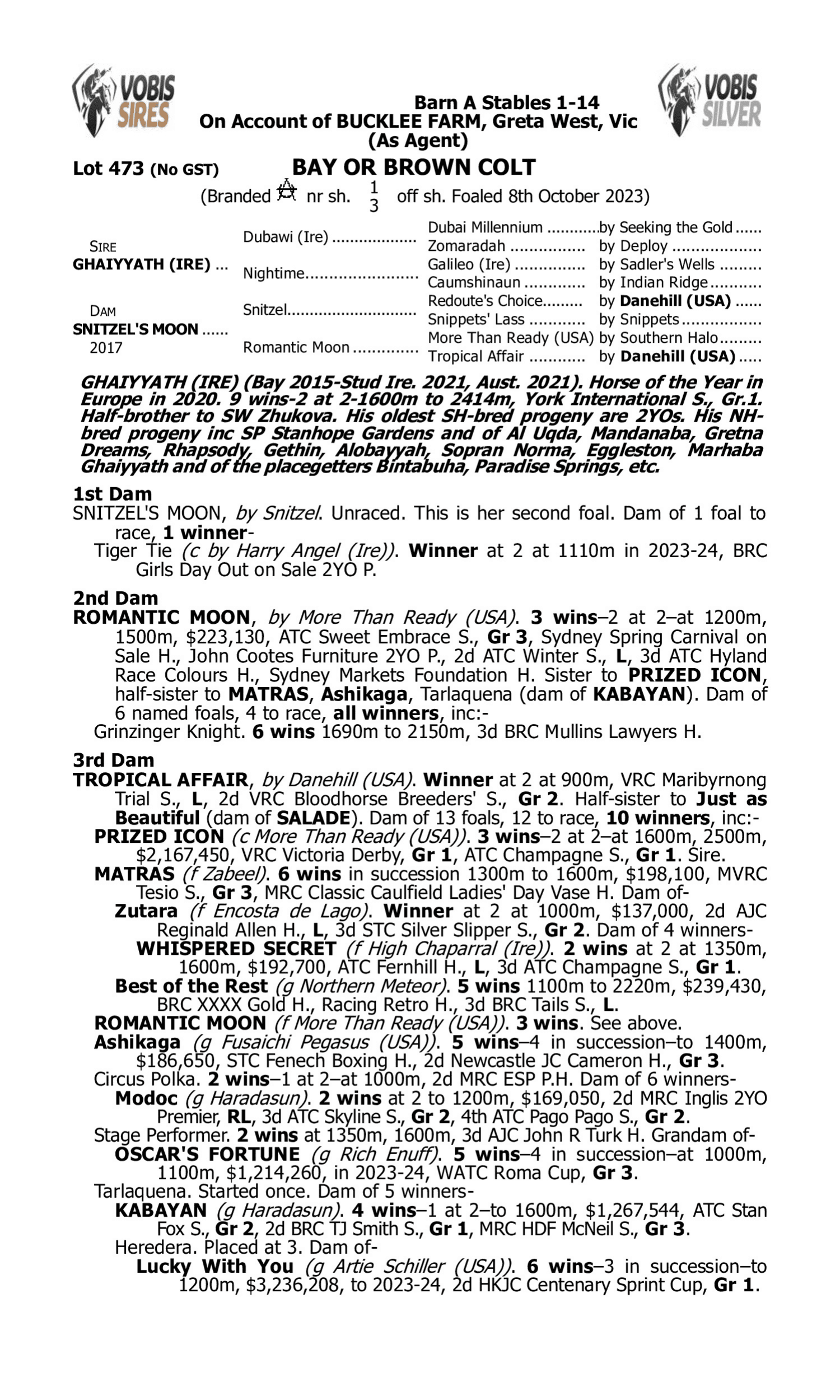 Pedigree for Lot 473 Ghaiyyath (IRE) - Snitzel's Moon