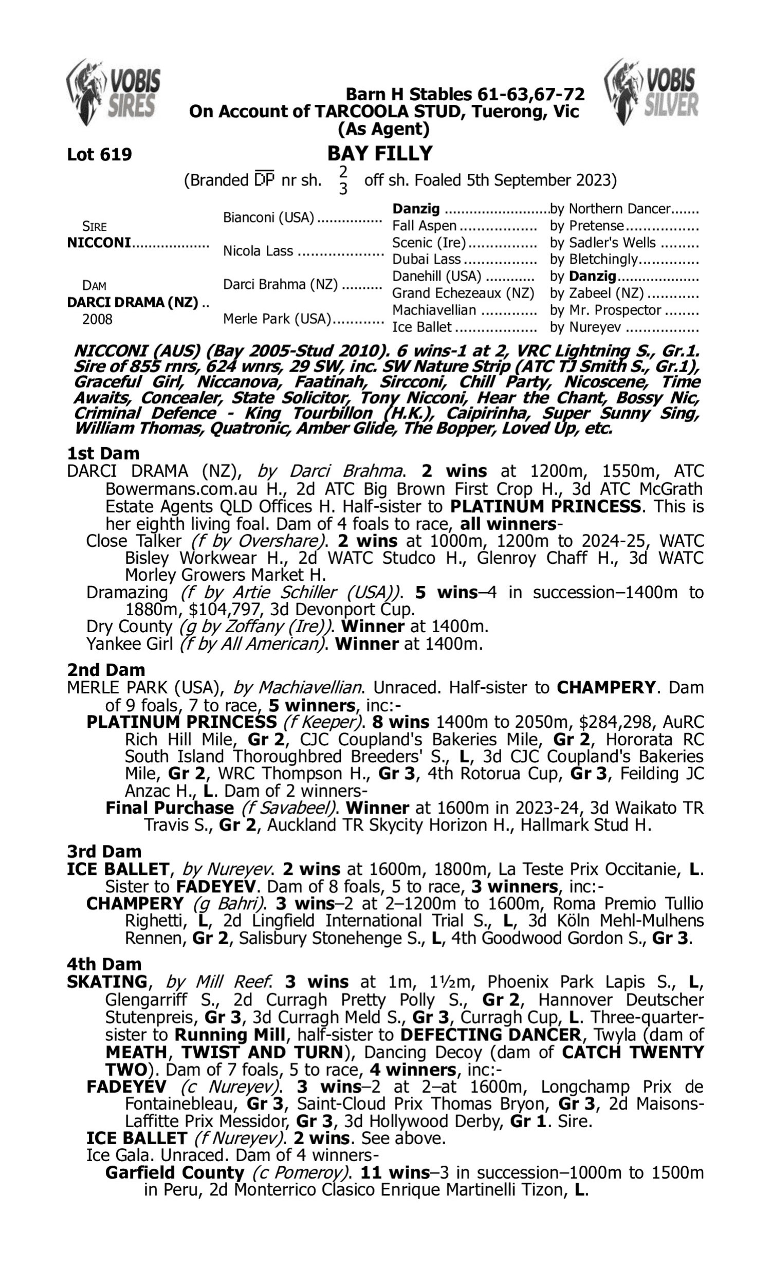Pedigree for Lot 619 Nicconi - Darci Drama (NZ)