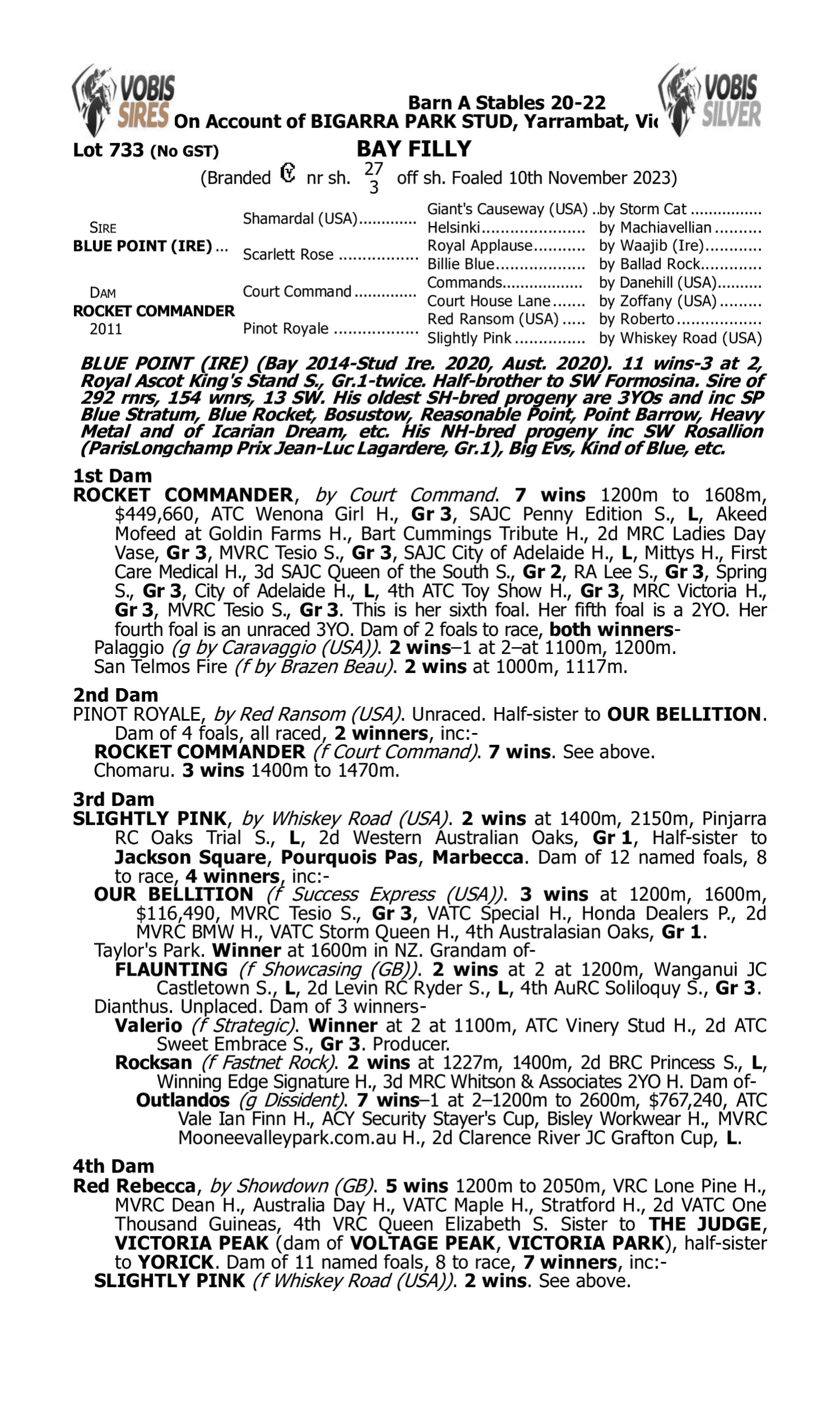 Pedigree for Lot 733 Blue Point (IRE) - Rocket Commander