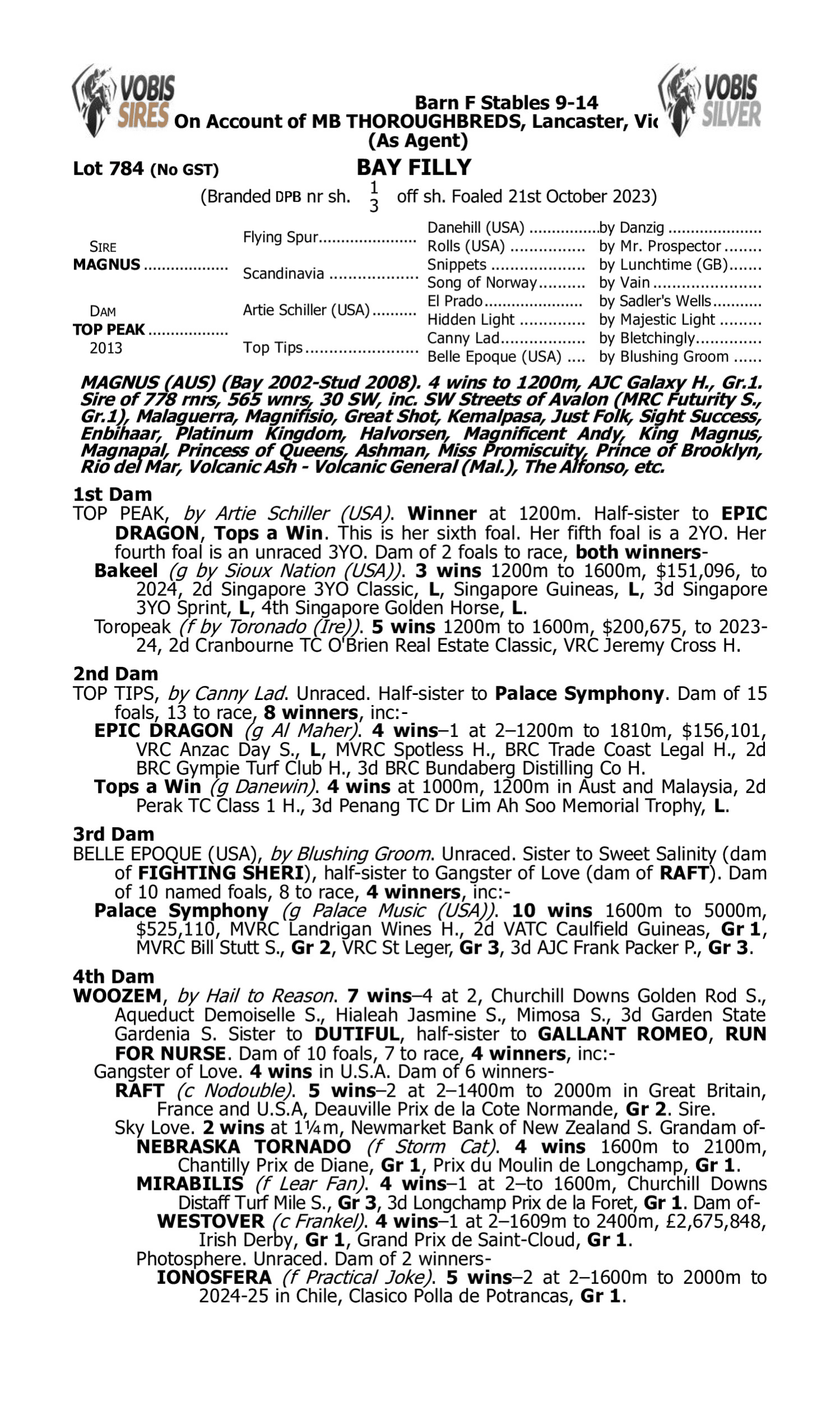 Pedigree for Lot 784 Magnus - Top Peak