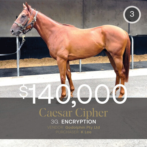 Godolphin 3YO tops Feb (Late) Online Sale