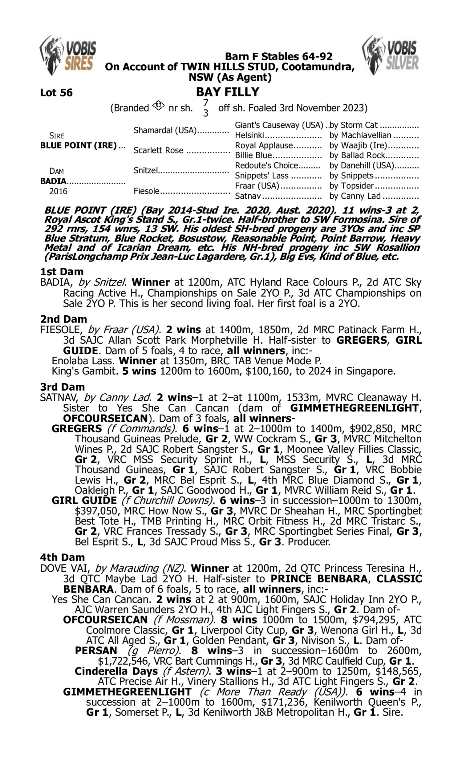 Pedigree for Lot 56 Blue Point (IRE) - Badia