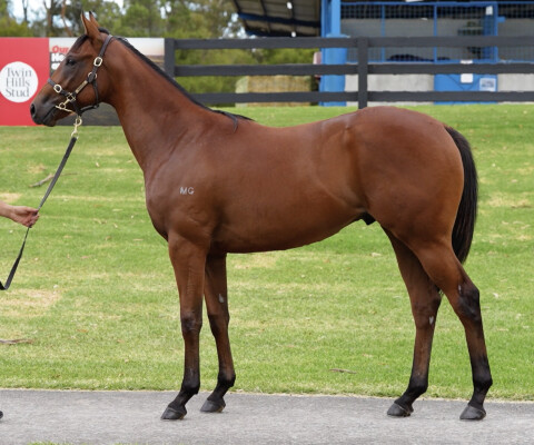 Lot 93: Profiteer / Carashan Girl