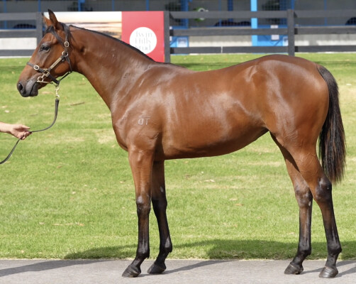 Lot 161: Pride of Dubai / Essence