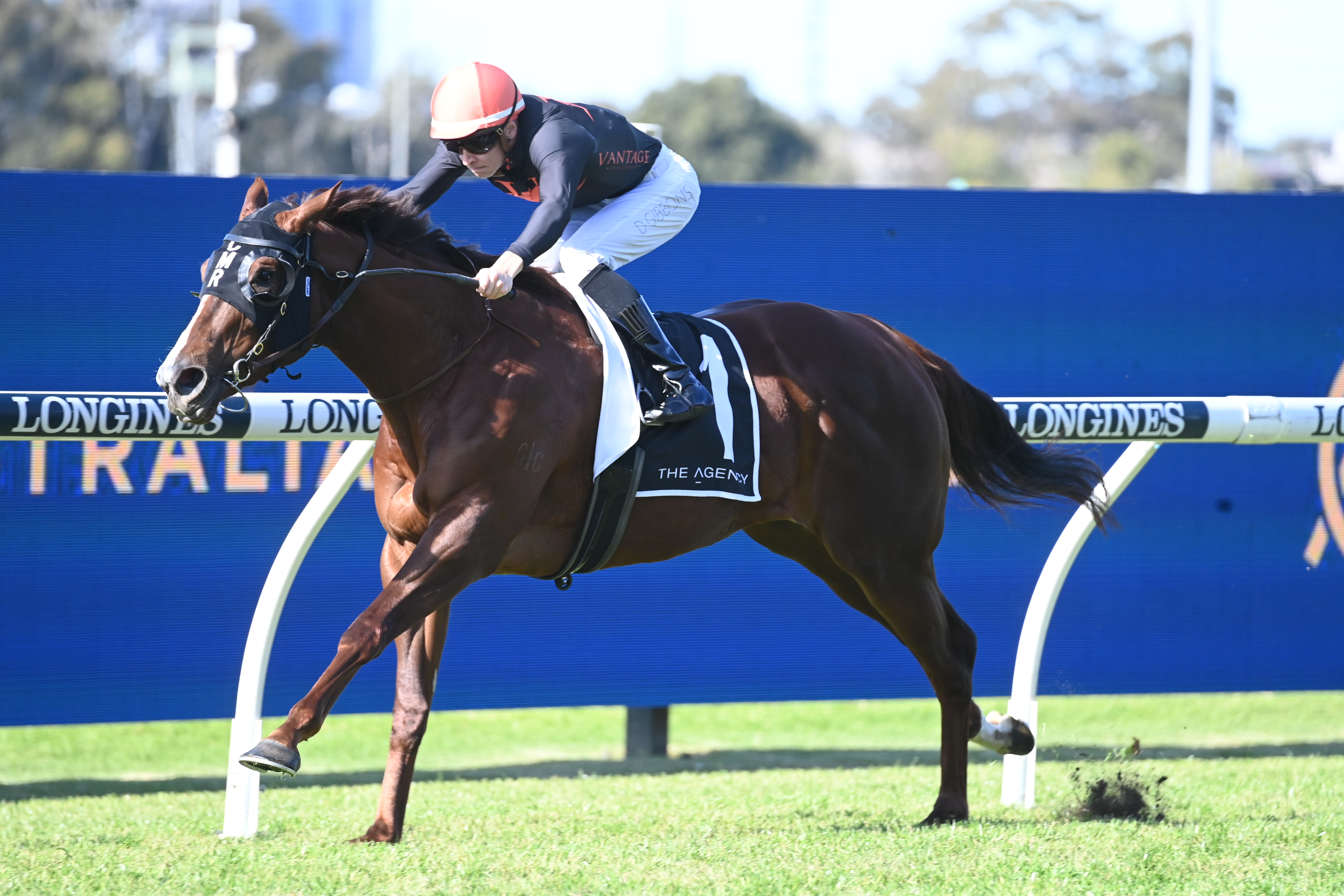 Another high-class trio confirmed for Chairman's Sale