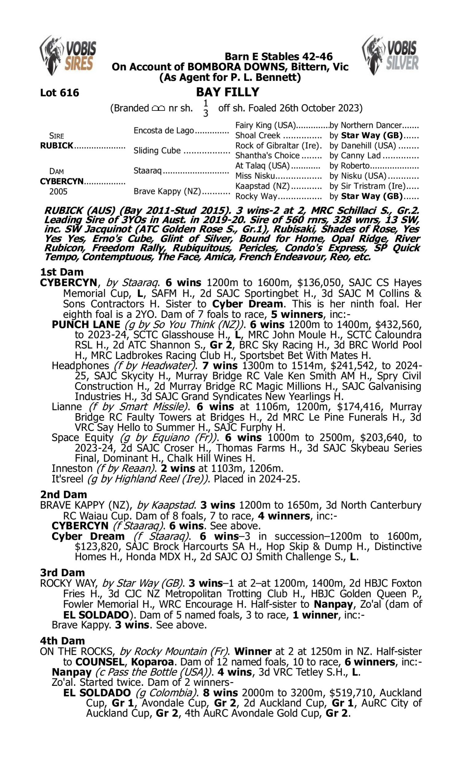 Pedigree for Lot 616 Rubick - Cybercyn