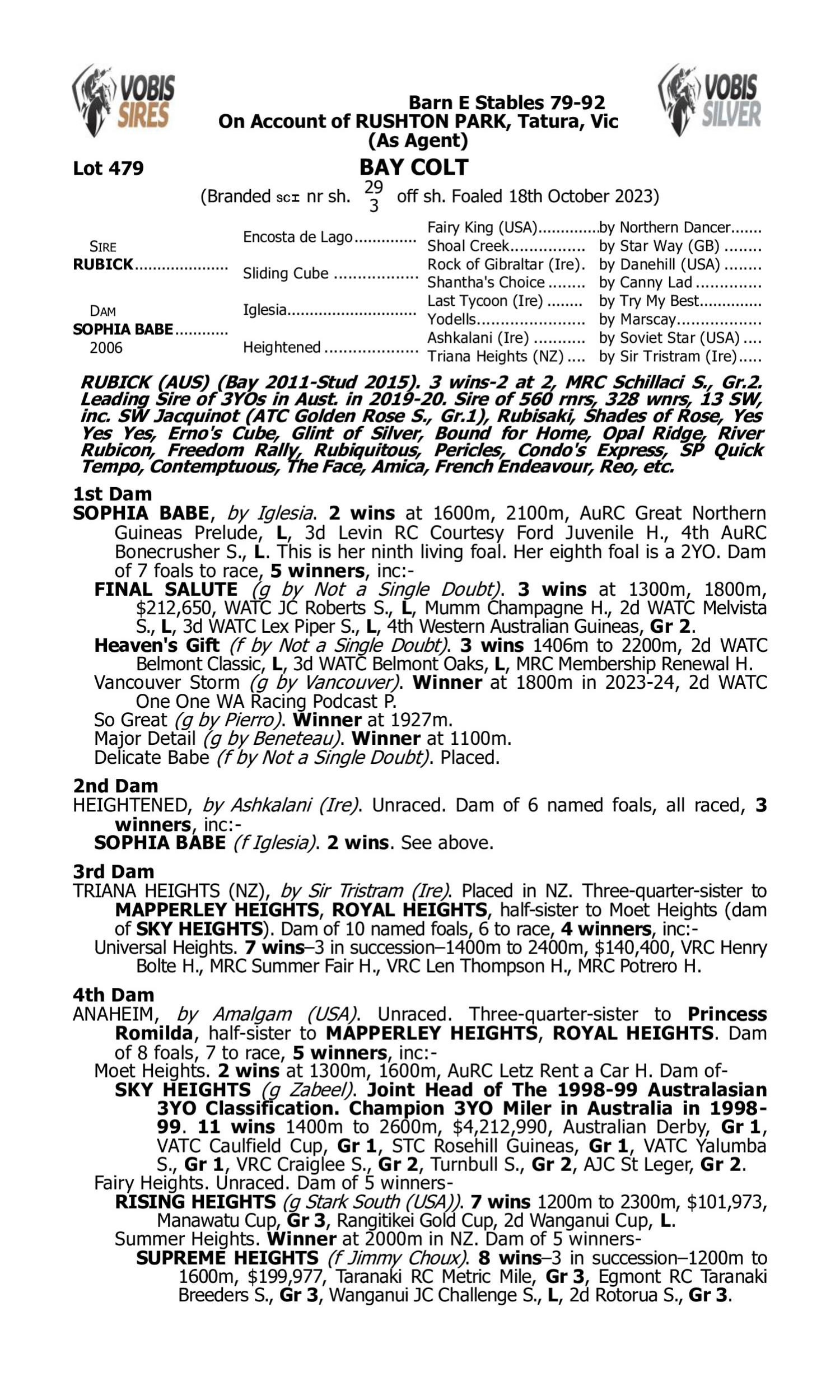 Pedigree for Lot 479 Rubick - Sophia Babe