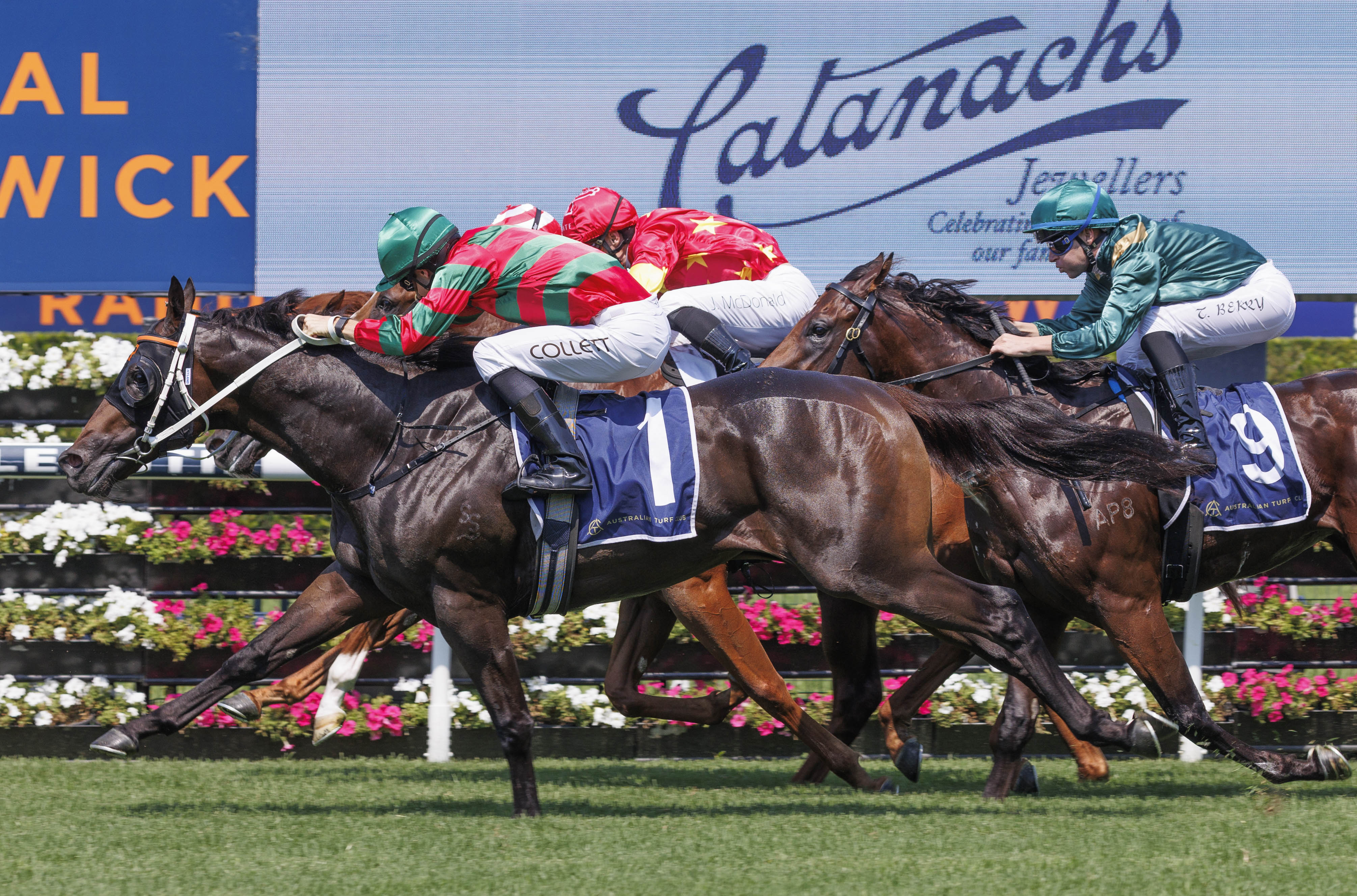 Millennium quinella Rivellino and Within The Law surge into Slipper contention