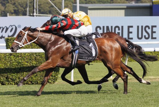 That’s why this Lady is a champ!