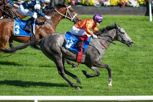 El Morzillo flies late to win $1m Inglis Sprint