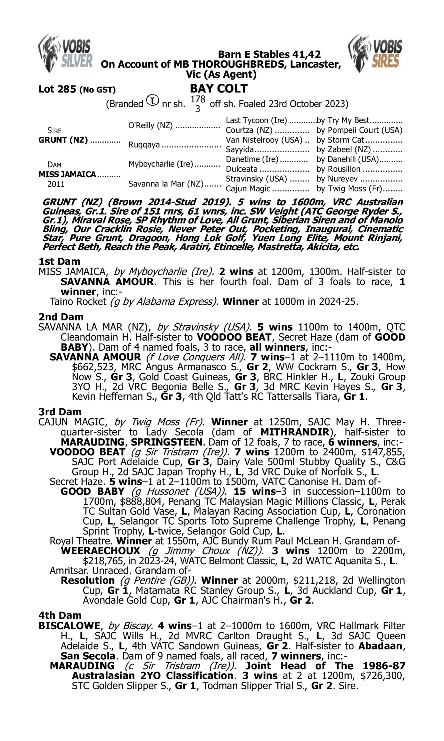 Pedigree for Lot 285 Grunt (NZ) - Miss Jamaica