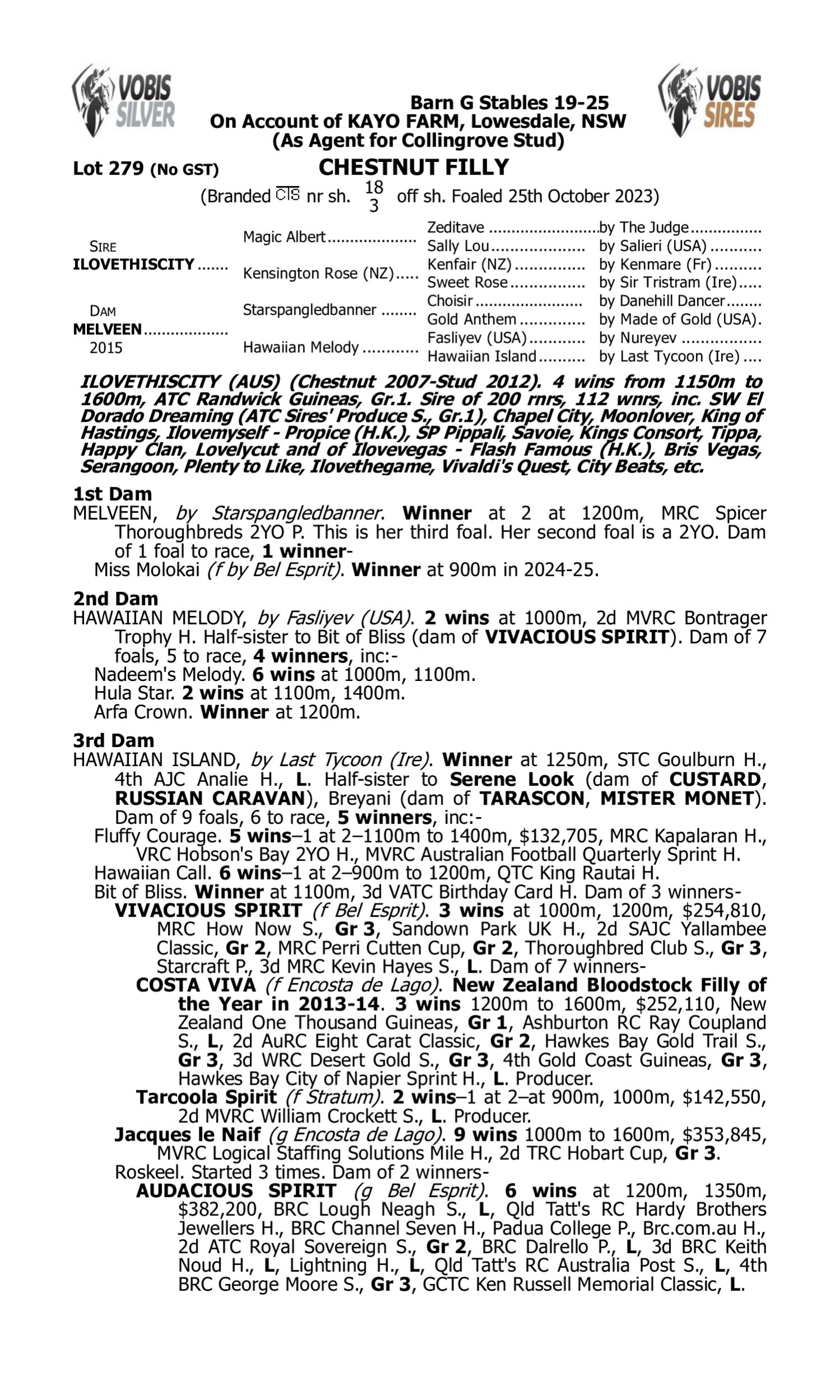 Pedigree for Lot 279 Ilovethiscity - Melveen