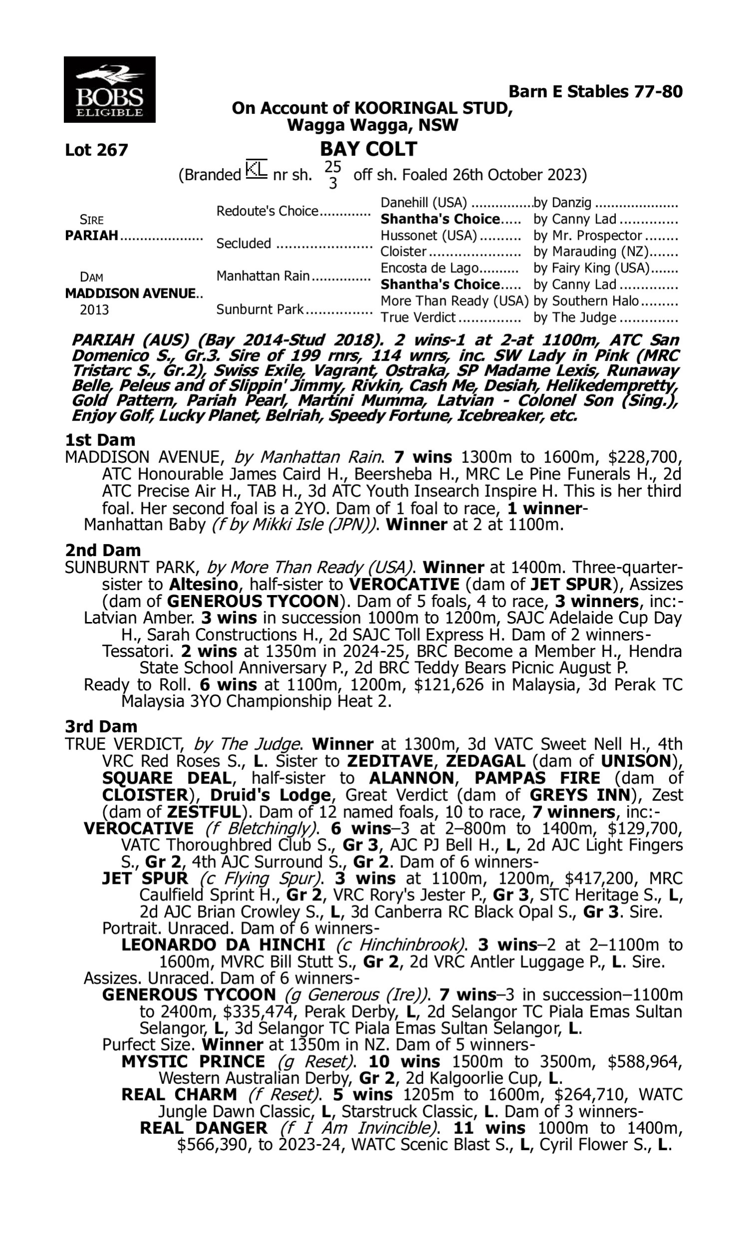 Pedigree for Lot 267 Pariah - Maddison Avenue