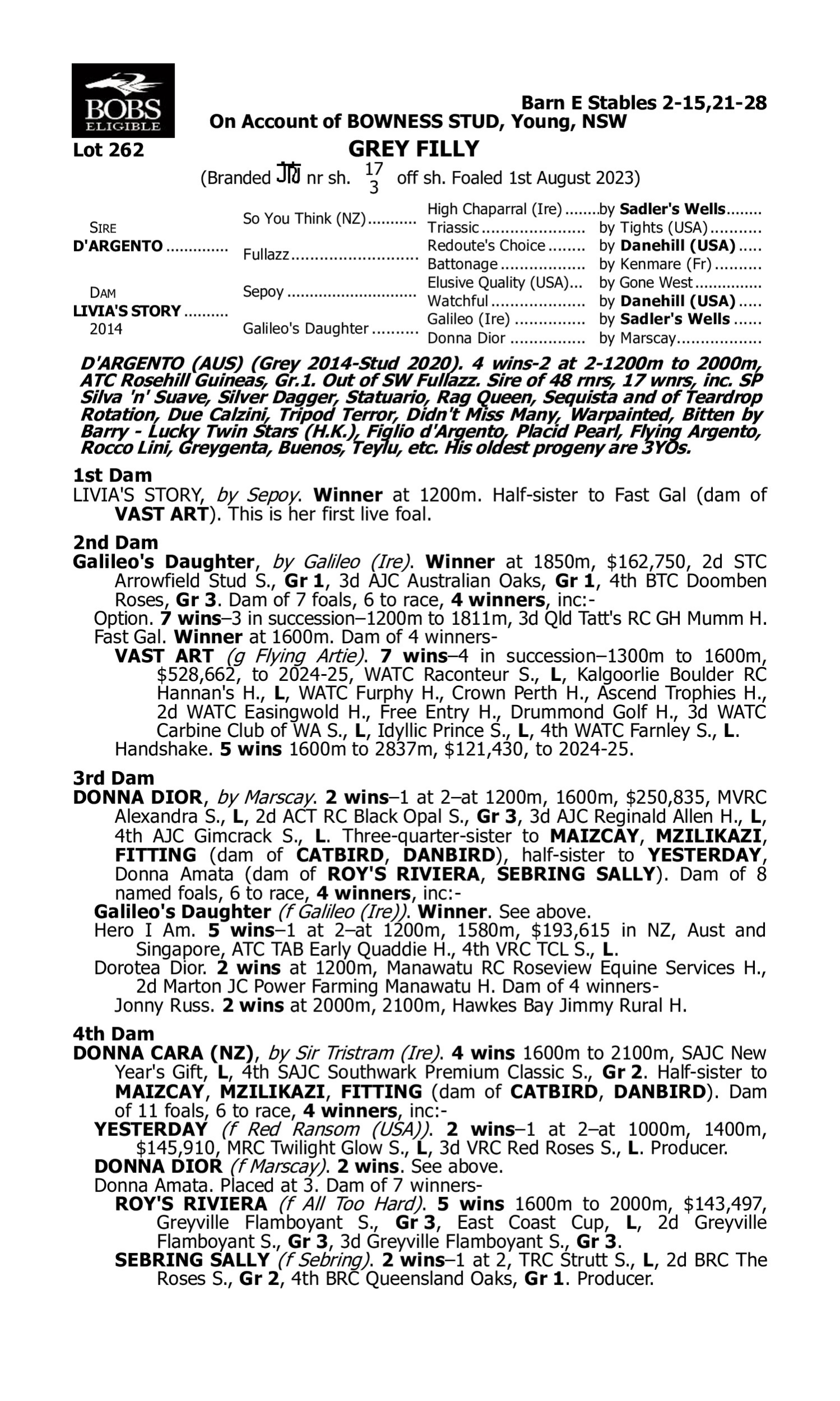 Pedigree for Lot 262 D'Argento - Livia's Story