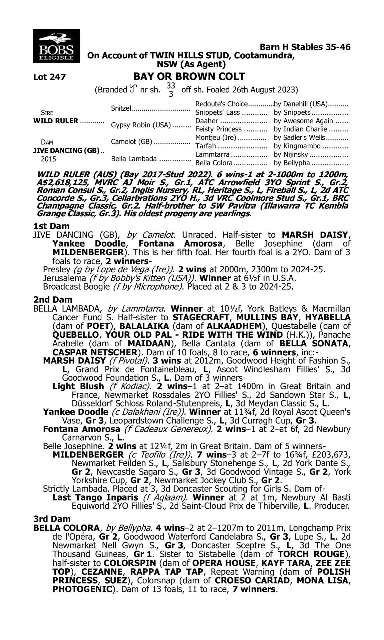 Pedigree for Lot 247 Wild Ruler - Jive Dancing (GB)