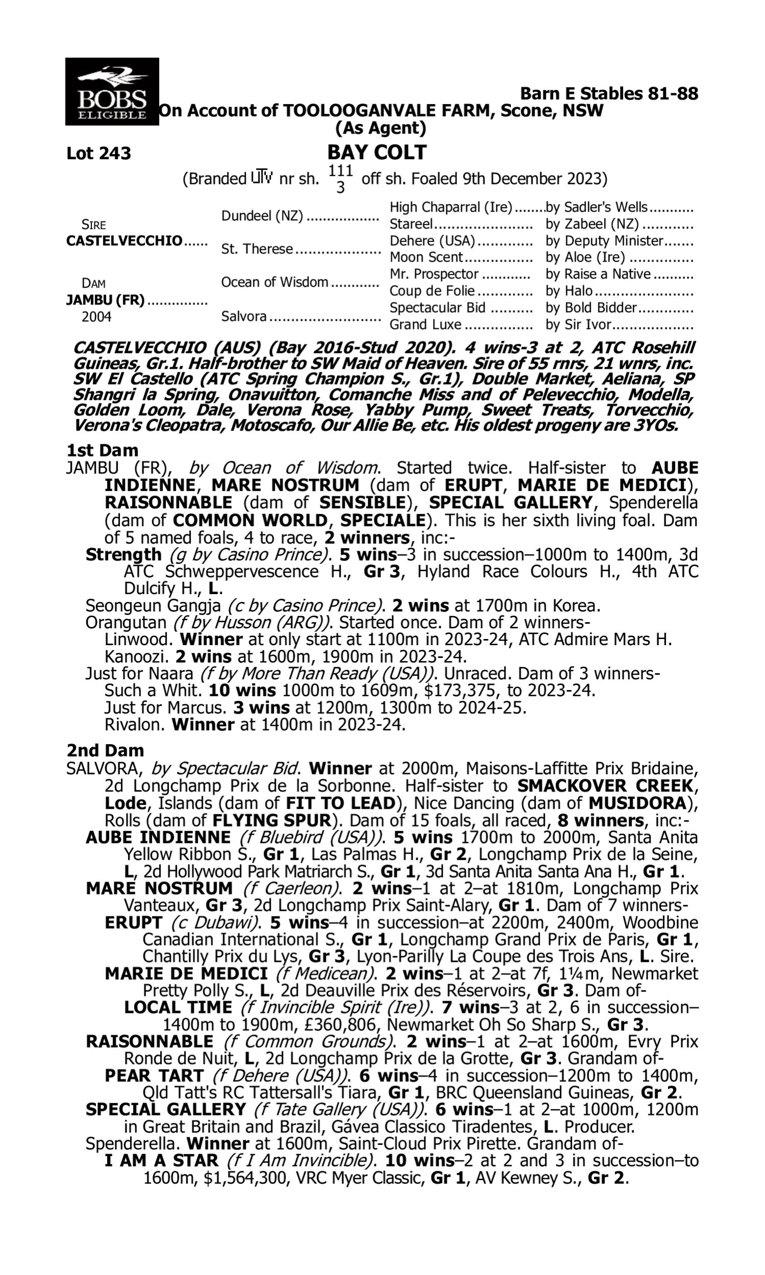Pedigree for Lot 243 Castelvecchio - Jambu (FR)