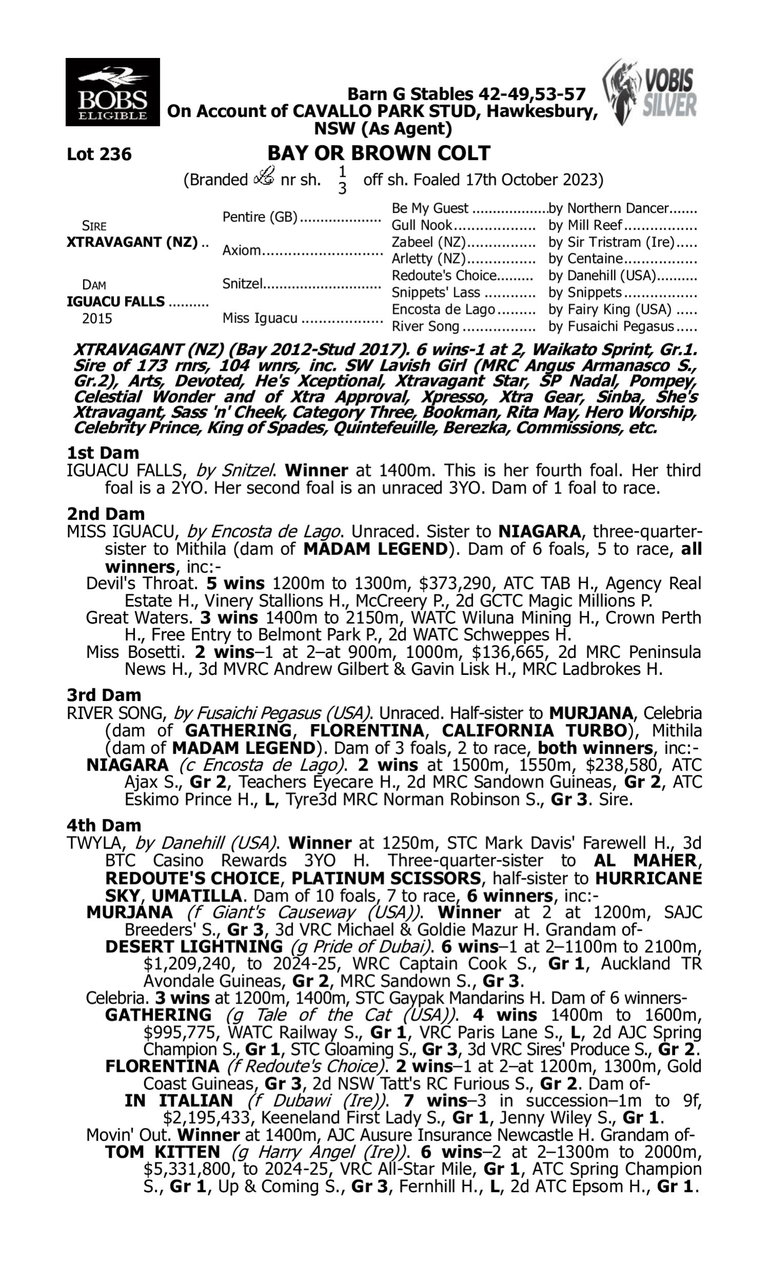 Pedigree for Lot 236 Xtravagant (NZ) - Iguacu Falls