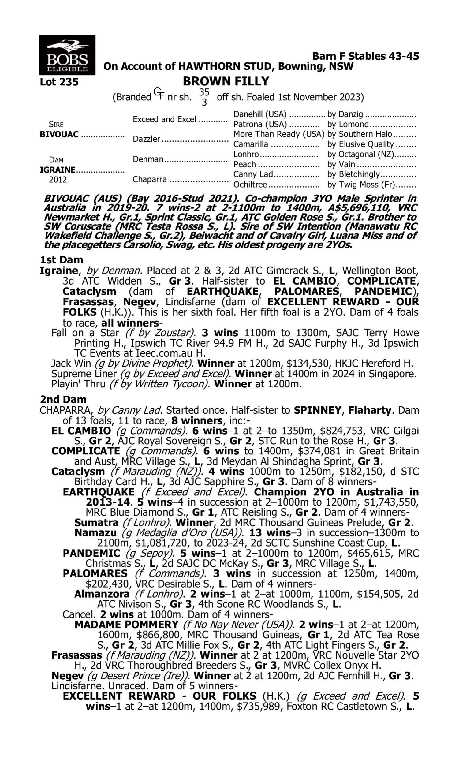 Pedigree for Lot 235 Bivouac - Igraine
