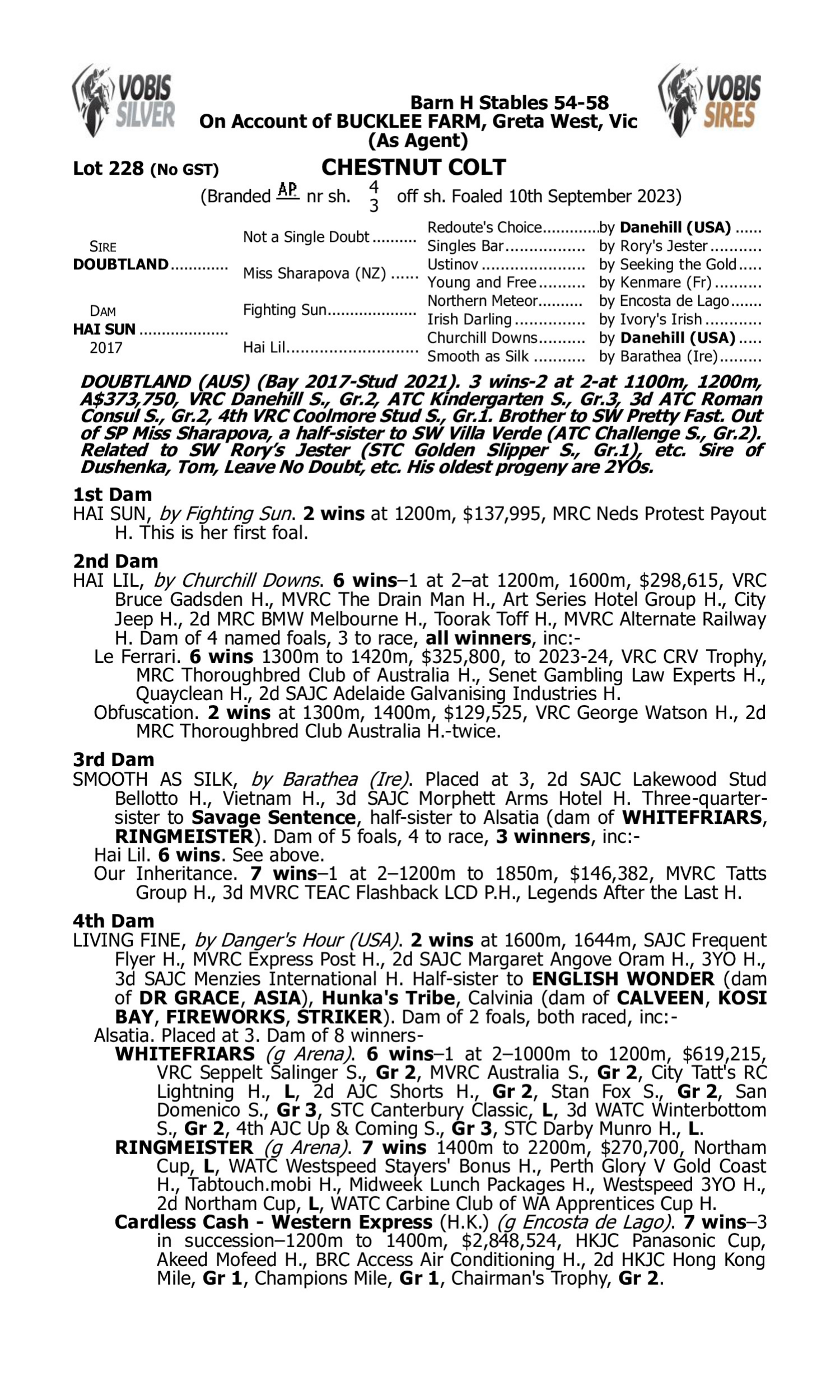 Pedigree for Lot 228 Doubtland - Hai Sun