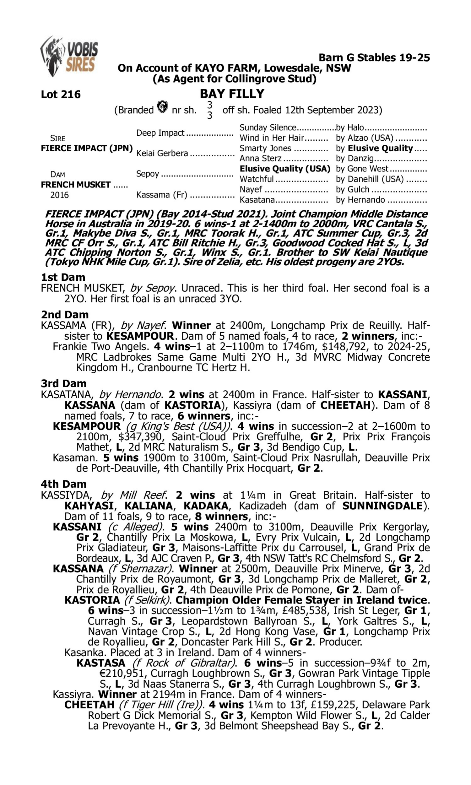 Pedigree for Lot 216 Fierce Impact (JPN) - French Musket