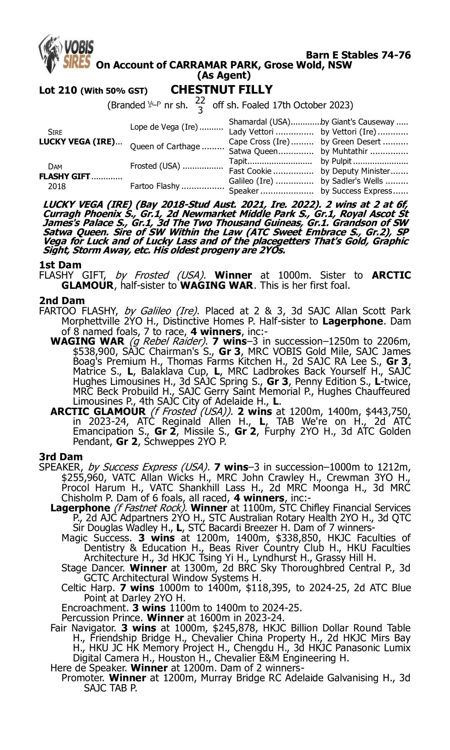 Pedigree for Lot 210 Lucky Vega (IRE) - Flashy Gift