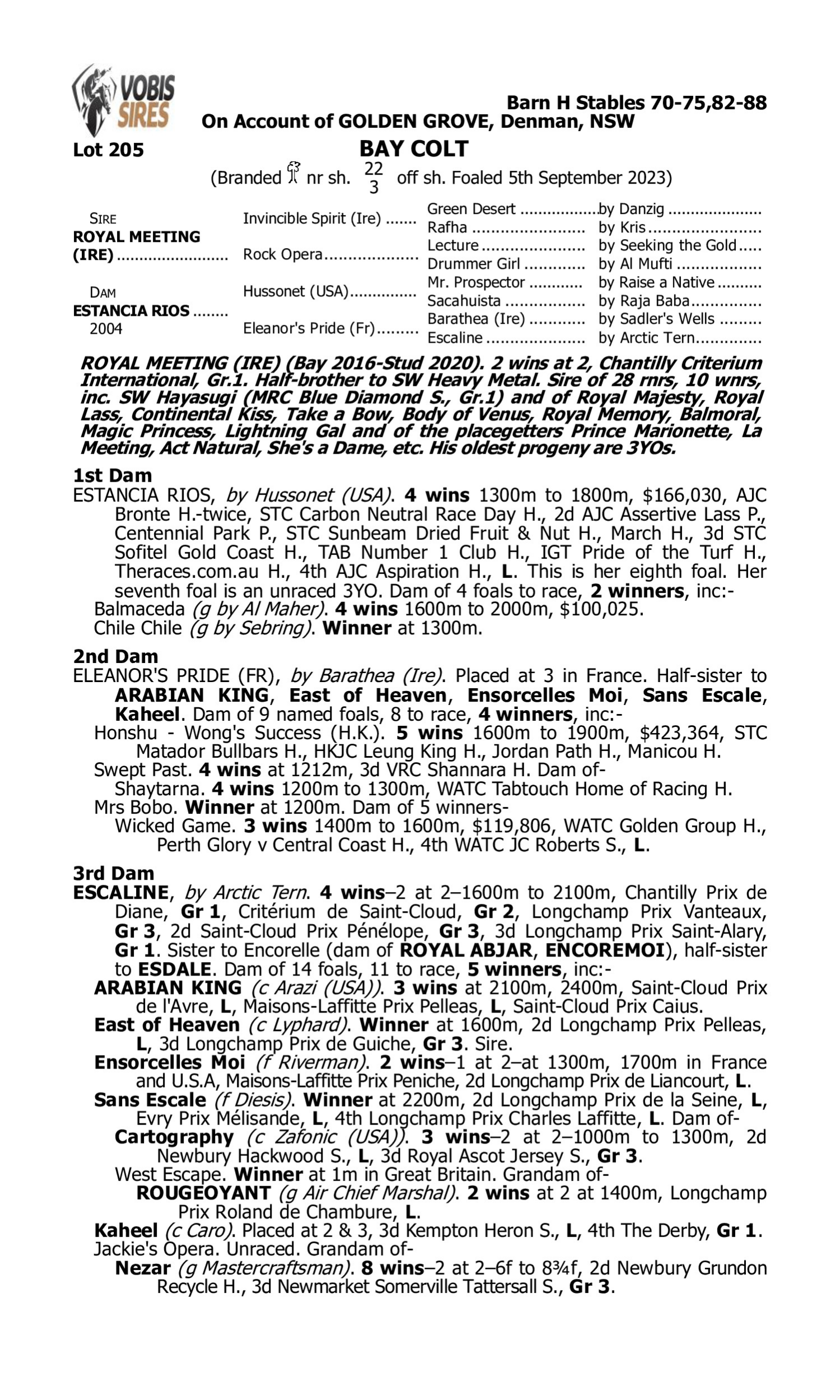 Pedigree for Lot 205 Royal Meeting (IRE) - Estancia Rios